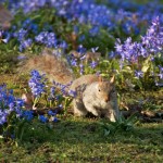 Spring is finally here....