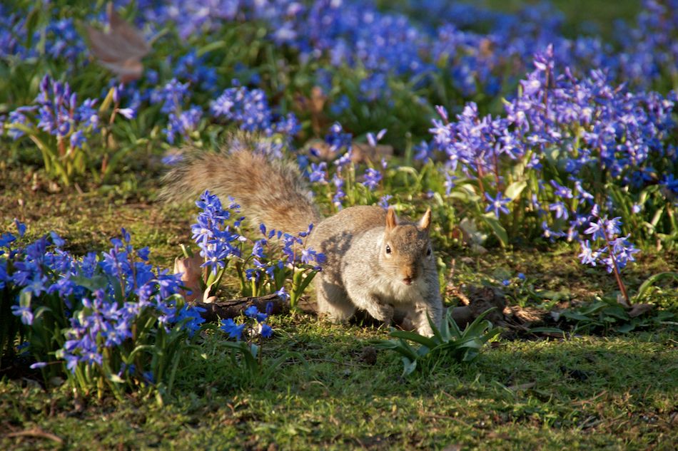Mike’s Blog: slideshow photograph 5