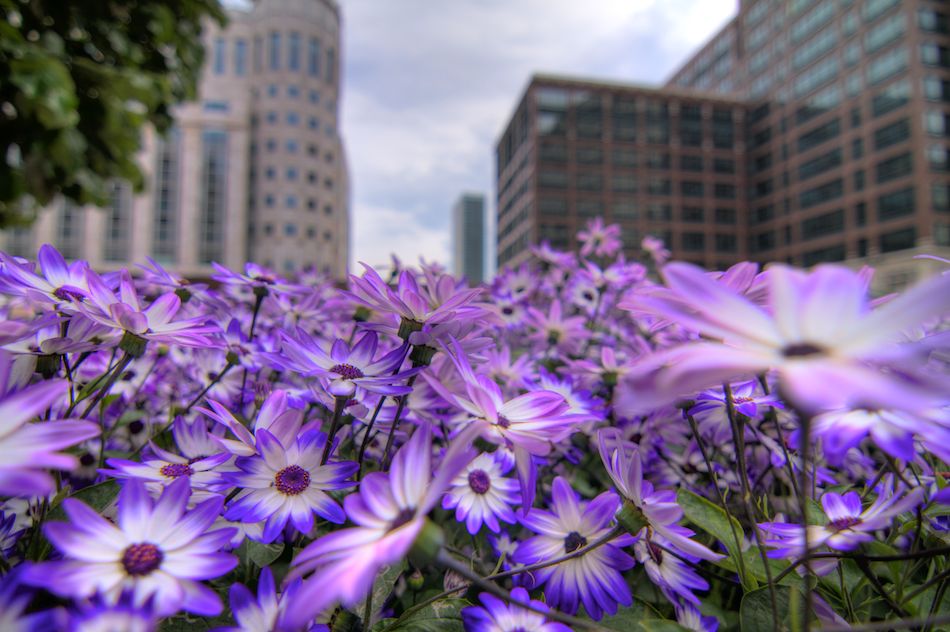 Mike’s Blog: slideshow photograph 1